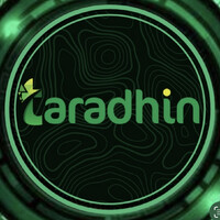 Taradhin logo - Similar company to Deltastar Power Projects Service Llc