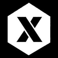 Xtend Equipments Pvt.Ltd. logo - Similar company to Top Reach Solutions (India) Pvt Ltd