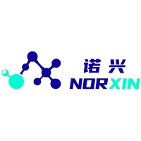 NORXIN logo - Similar company to Youth Evolution Foundation