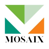 MosaiX logo - Similar company to Rahiz