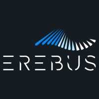 Erebus Capital Partners Ltd logo - Similar company to Norse Capital Ltd