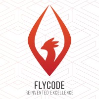 FlyCode logo - Similar company to Cubeunity.Com