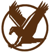 Bronze wings general transport logo - Similar company to Valvefit