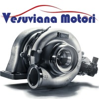 Vesuviana Motori S.r.l. logo - Similar company to Otar Srl - Componenti Industriali