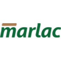 Marlac logo - Similar company to Vr Tech Info Inc.