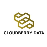 Cloudberry Data logo - Similar company to Cloudberry