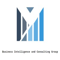 Business Intelligence and Consulting Group logo - Similar company to Firstbike