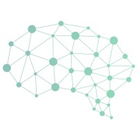Brain Initiative, LLC logo - Similar company to Soft Technologies Lab