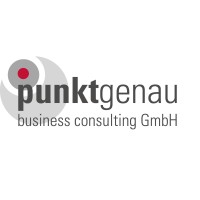 punktgenau business consulting GmbH logo - Similar company to Smart Devision