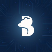 BAIR.AI logo - Similar company to Kvants