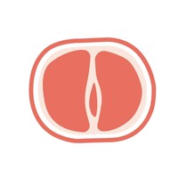 Womco logo - Similar company to Zestful Ltd.