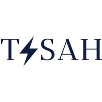 TISAH Engineering Limited logo - Similar company to Lurkwave