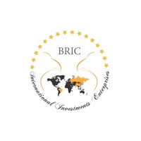 BRICU logo - Similar company to Bouk
