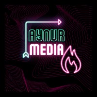 Aynur Media Prodüksiyon logo - Similar company to Killo Films