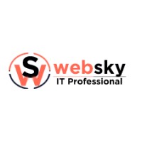 websky logo - Similar company to Fitcode