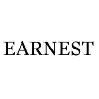 EARNEST city planning logo - Similar company to Association Ms Bim Alumni