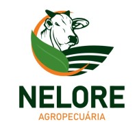 Nelore Agropecuária logo - Similar company to Nelore Cometa
