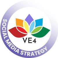 Visually Explained Ltd logo - Similar company to The Orange Tree Hub