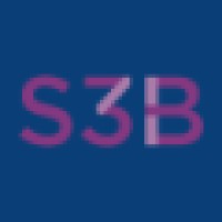 S3B Consulting, Llc