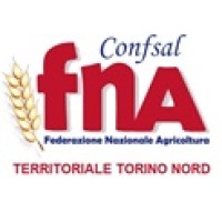 fnA Territoriale Torino Nord logo - Similar company to Schoolvisor
