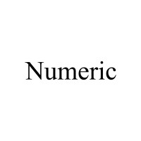 Numeric logo - Similar company to Numeric