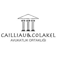 Cailliau & Çolakel Attorney Partnership logo - Similar company to Sby Express