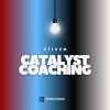 Stiven Catalyst Coaching logo - Similar company to Studio Regis