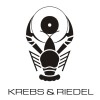 KREBS & RIEDEL Shanghai CO, Ltd. logo - Similar company to 3M Precision Grinding Gmbh