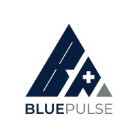 Blue Pulse Academy logo - Similar company to Bluepulse