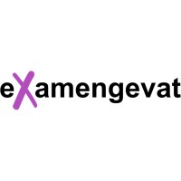 eXamengevat BV logo - Similar company to Wft Samengevat