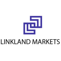 LinkLand Markets logo - Similar company to Mykaaap