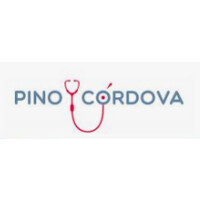Pino y Cordova SpA logo - Similar company to Siscotec Chile