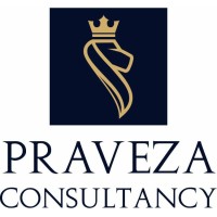 Praveza Consultancy Private Limited logo - Similar company to Rudra Softech