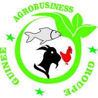 Guinee Agrobusiness Solution logo - Similar company to Ocphc Charities Inc