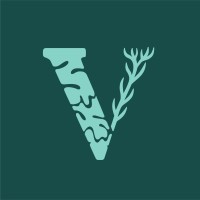 Viasomatic logo - Similar company to Different Strokes Creative