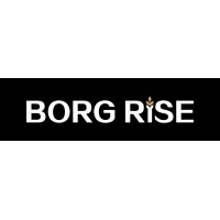 Borg Rise US logo - Similar company to Borgrise Us