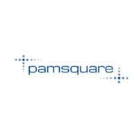 Pamsquare Advisory Private Limited logo - Similar company to Right Aligned Solutions Pvt Ltd