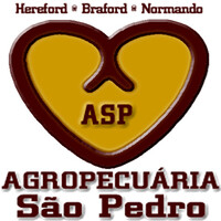 Agropecuária São Pedro logo - Similar company to Fazenda São Pedro