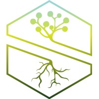 Superforest logo - Similar company to Viira