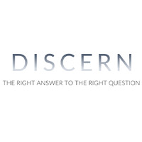 Discern Consulting logo - Similar company to Revelar Analytics