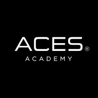 ACES Academy logo - Similar company to Itakaneict