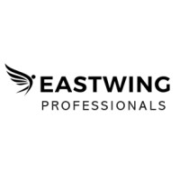 Eastwing Professionals logo - Similar company to Eastwing B.V.
