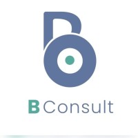 BConsult logo - Similar company to Kimura Racing