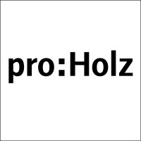 proHolz & Holzcluster Salzburg logo - Similar company to Lightsource.Tech