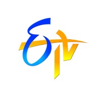 EENADU TELEVISION PRIVATE LIMITED logo - Similar company to Proadbot Solution