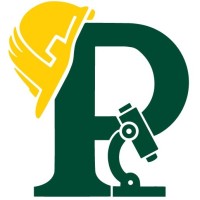 Pekron Consulting logo - Similar company to Pekron