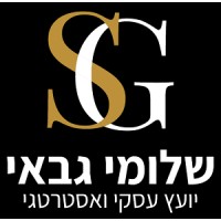 שלומי גבאי - יועץ עסקי ואסטרטגי logo - Similar company to יועץ עסקי מנור משען