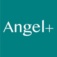 Angel Plus logo - Similar company to Guardian Angel Security System