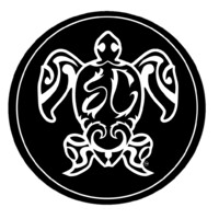 Soulcraft Wake Surf logo - Similar company to Rene Cazares