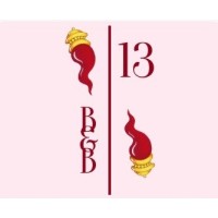 Ai 13 Gradoni di Chiaia logo - Similar company to Tekny